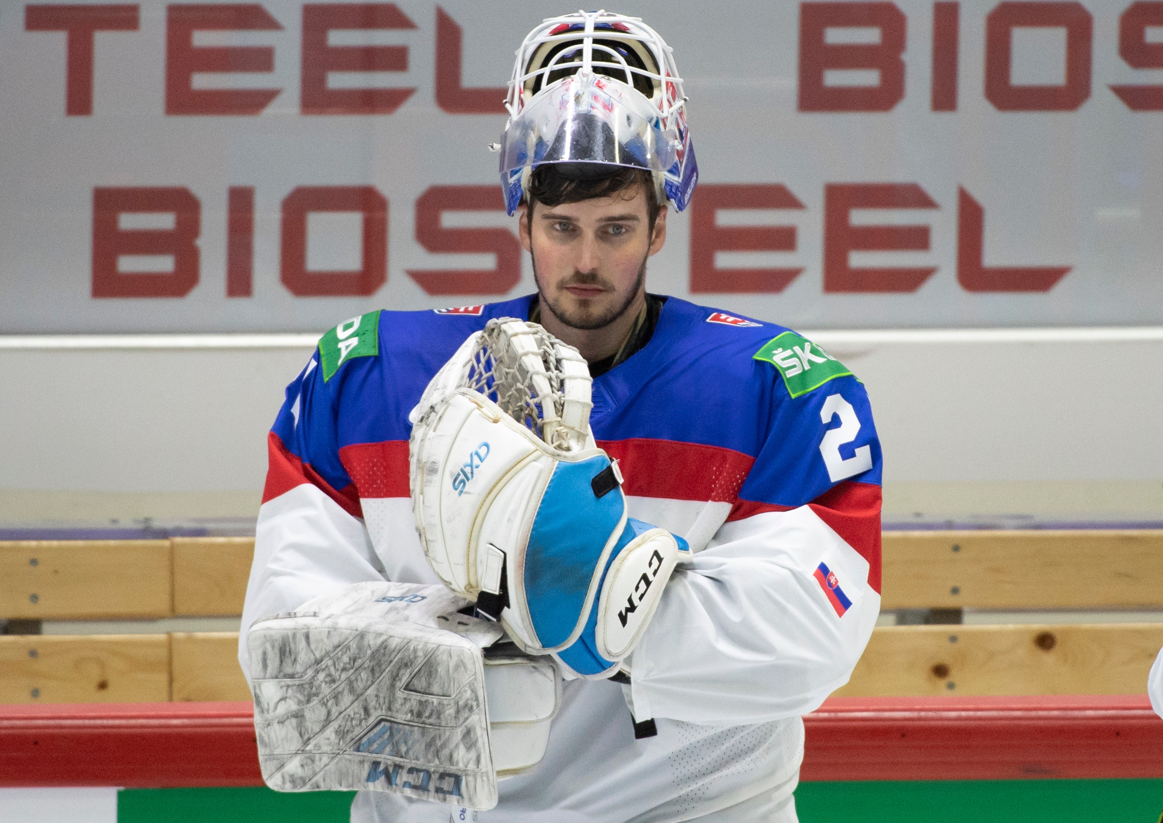 Hokejová reprezentácia